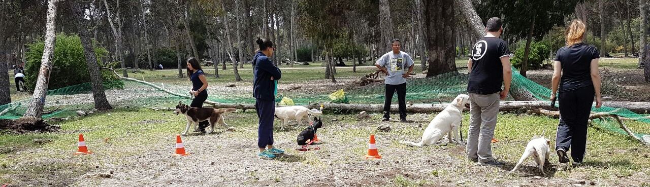 Cleverdog, Educateur Canin à Domicile, Dressage Chien Cleverdog, Educateur Canin à Domicile, Dressage Chien